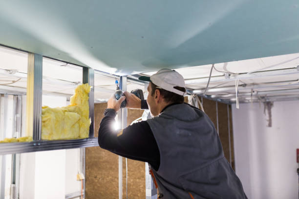 Best Crawl Space Insulation  in Centerville, SC