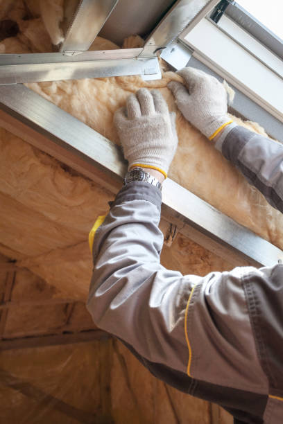 Best Spray Foam Insulation  in Centerville, SC