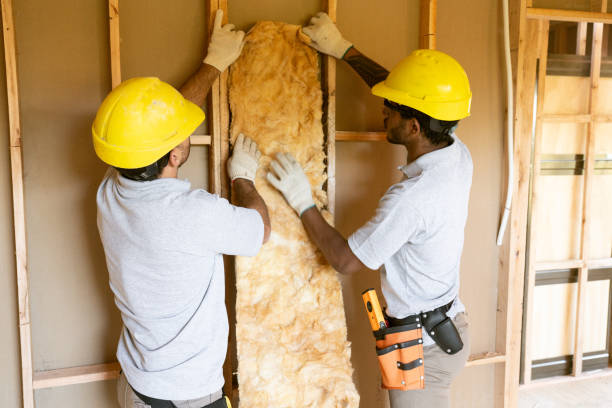 Best Attic Insulation Installation  in Centerville, SC