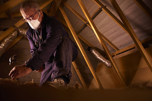 Best Local Insulation Services  in Centerville, SC
